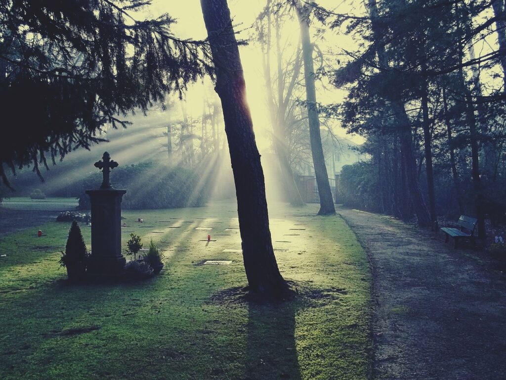 Luz atrás de arvore cemitério - morte e estoicismo